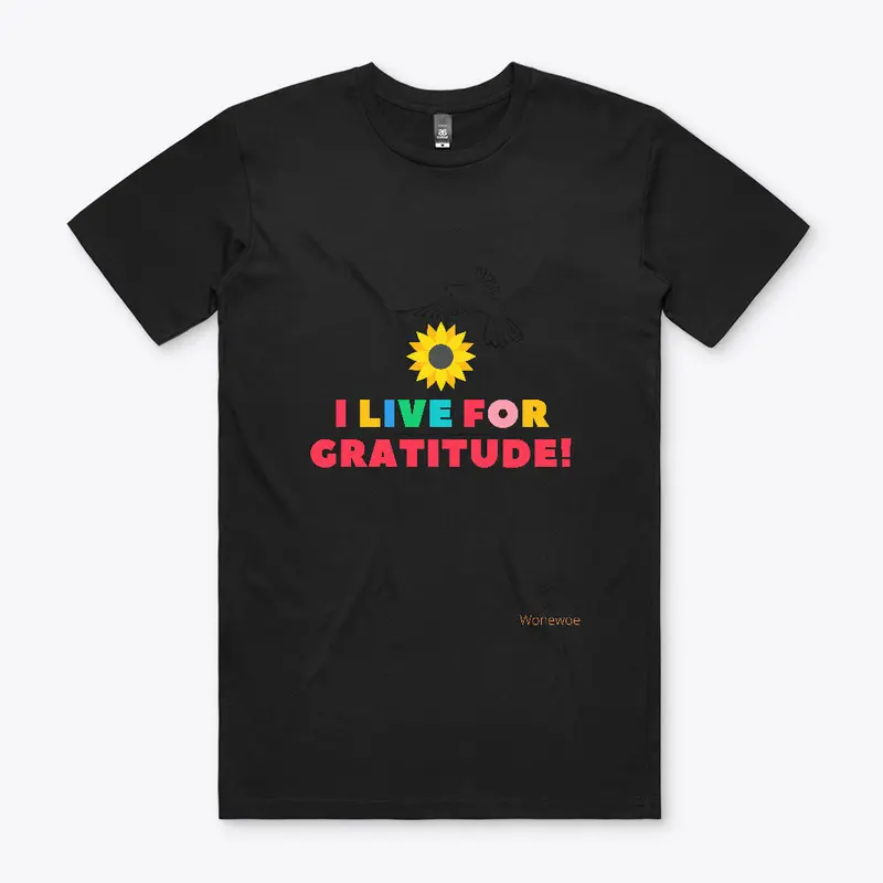 Colorful Gratitude T-shirt and more