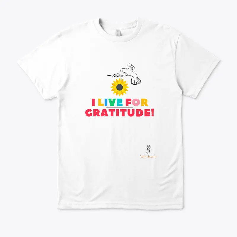 Colorful Gratitude T-shirt and more