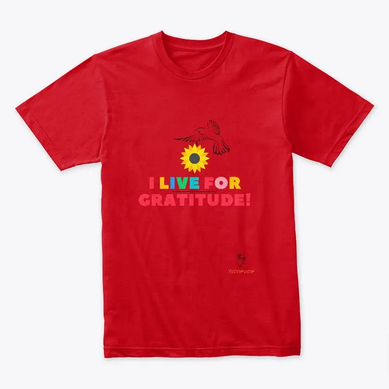 Colorful Gratitude T-shirt and more