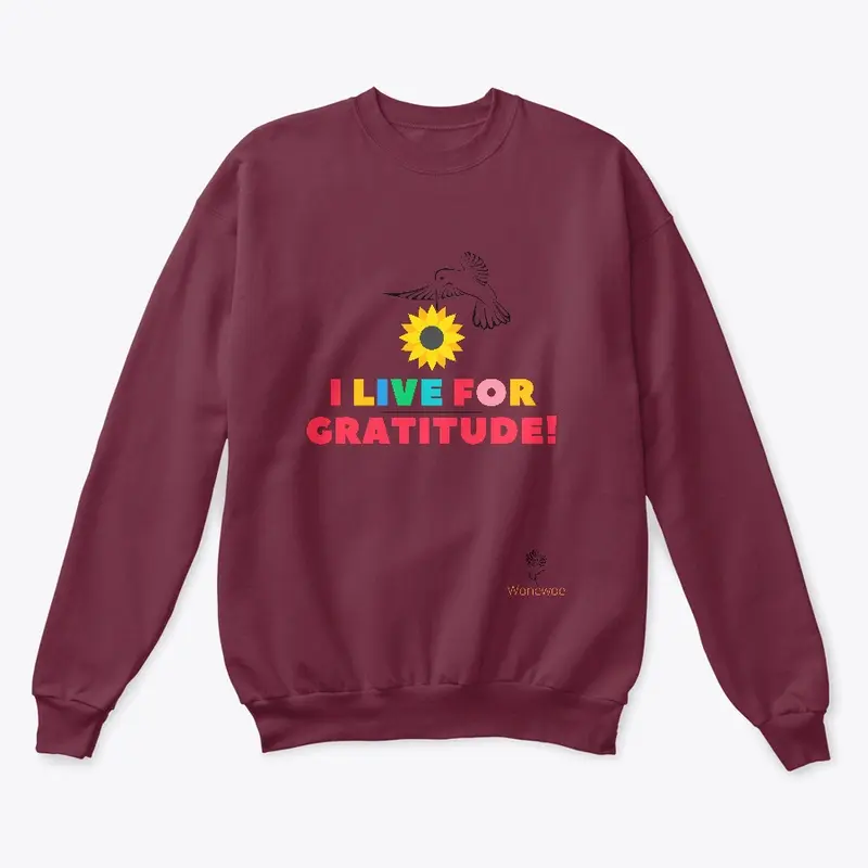 Colorful Gratitude T-shirt and more