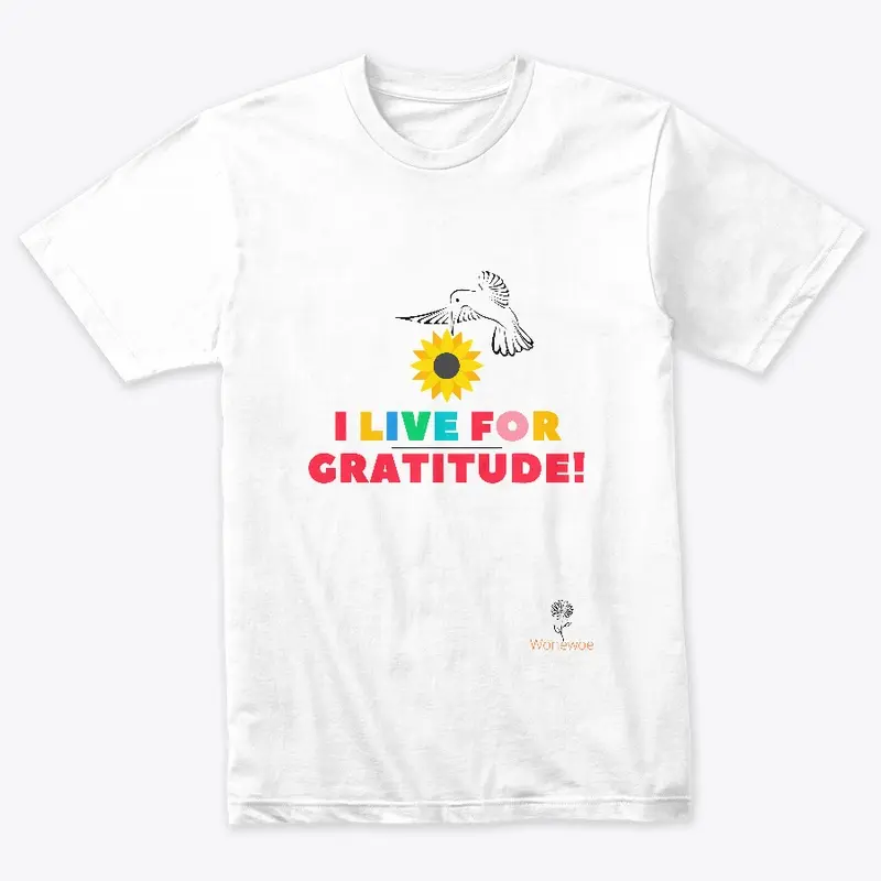 Colorful Gratitude T-shirt and more